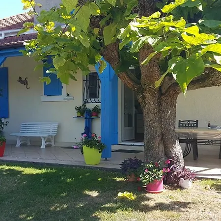 Grande Maison De 8 Pers * Levignacq