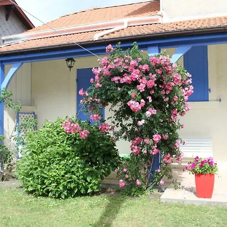 Grande Maison De 8 Pers