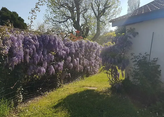 Grande Maison De Vakantiehuis